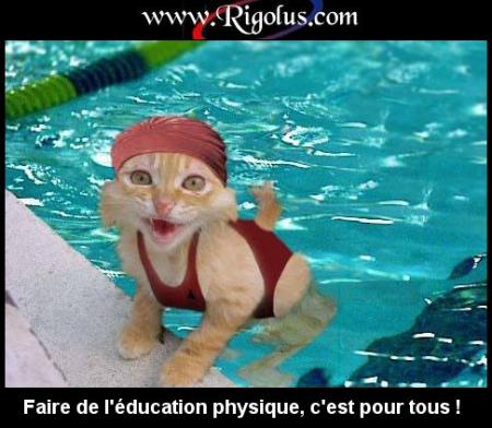 Piscine à volonté!!!!!!!!