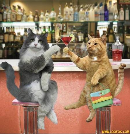 Chin Chin :-)