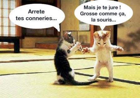 Mais quelle menteur!!!