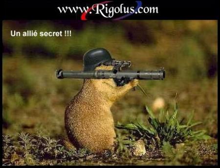 Allier top et secret surtout!!!