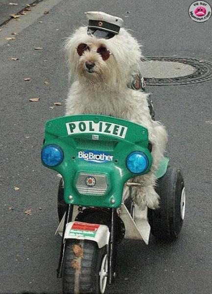 Polizei!!!!
