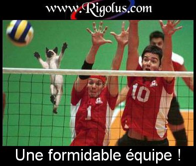 Sa c'est vrai!!!!!!