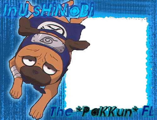 Le retoue de Pakkun